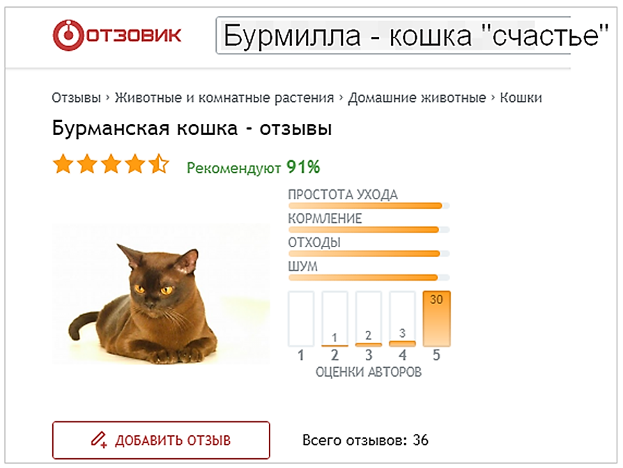 Ranking cat