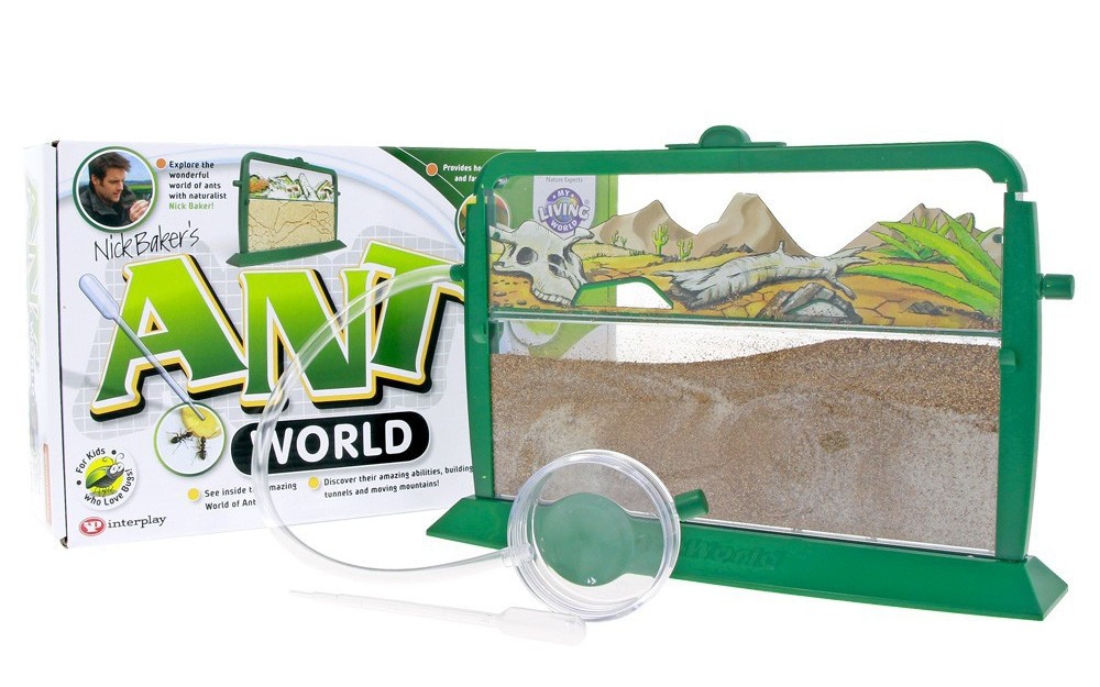 Ant world. Муравьиные фермы дяди Милтона. Ант фарм.